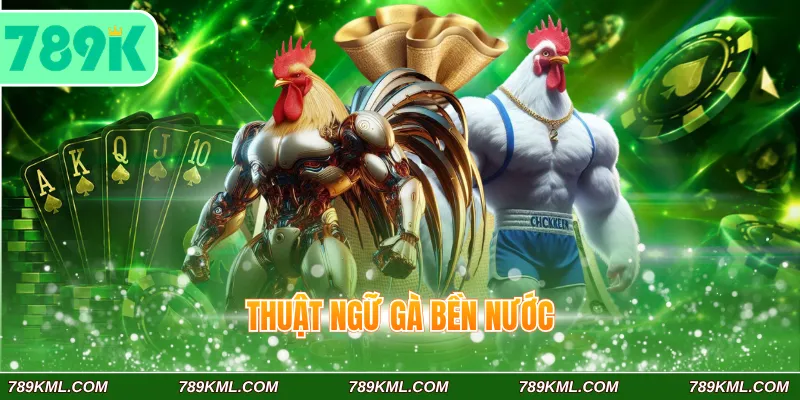 Thuật ngữ đá gà 789K Phổ Biến Dành Cho Tân Binh Đam Mê Chọi Kê 4 Thuật ngữ gà bền nước